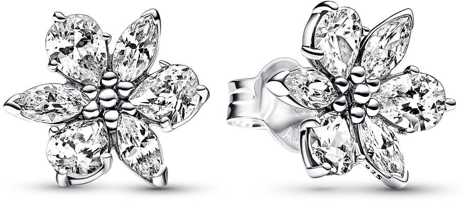 Clous D'Oreilles Pandora Herbier Scintillant Femme
