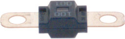 Bosch Sicherung 1987531011