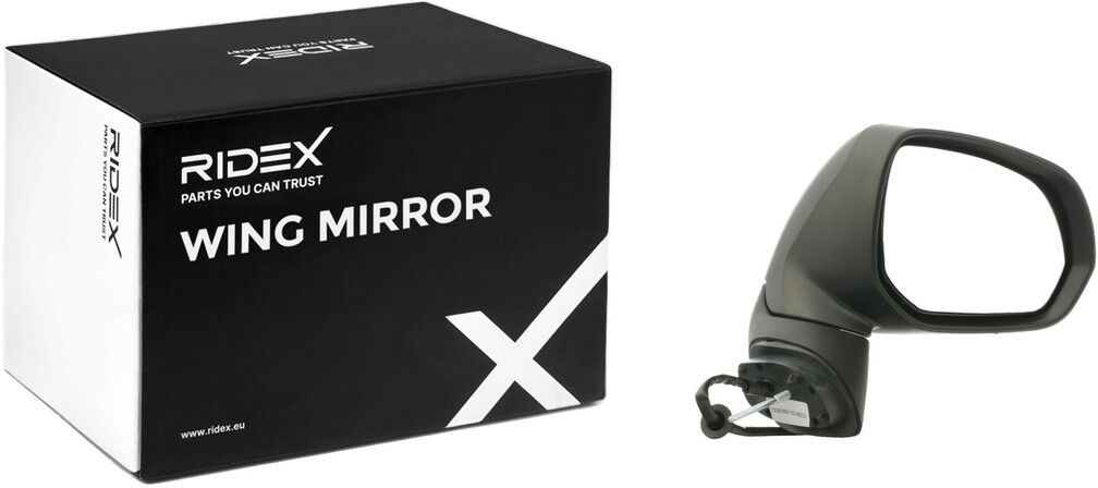 RIDEX 50O0893 Wing mirror