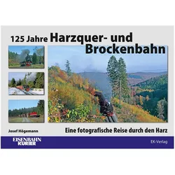 Josef Högemann, Ratgeber von Josef Högemann