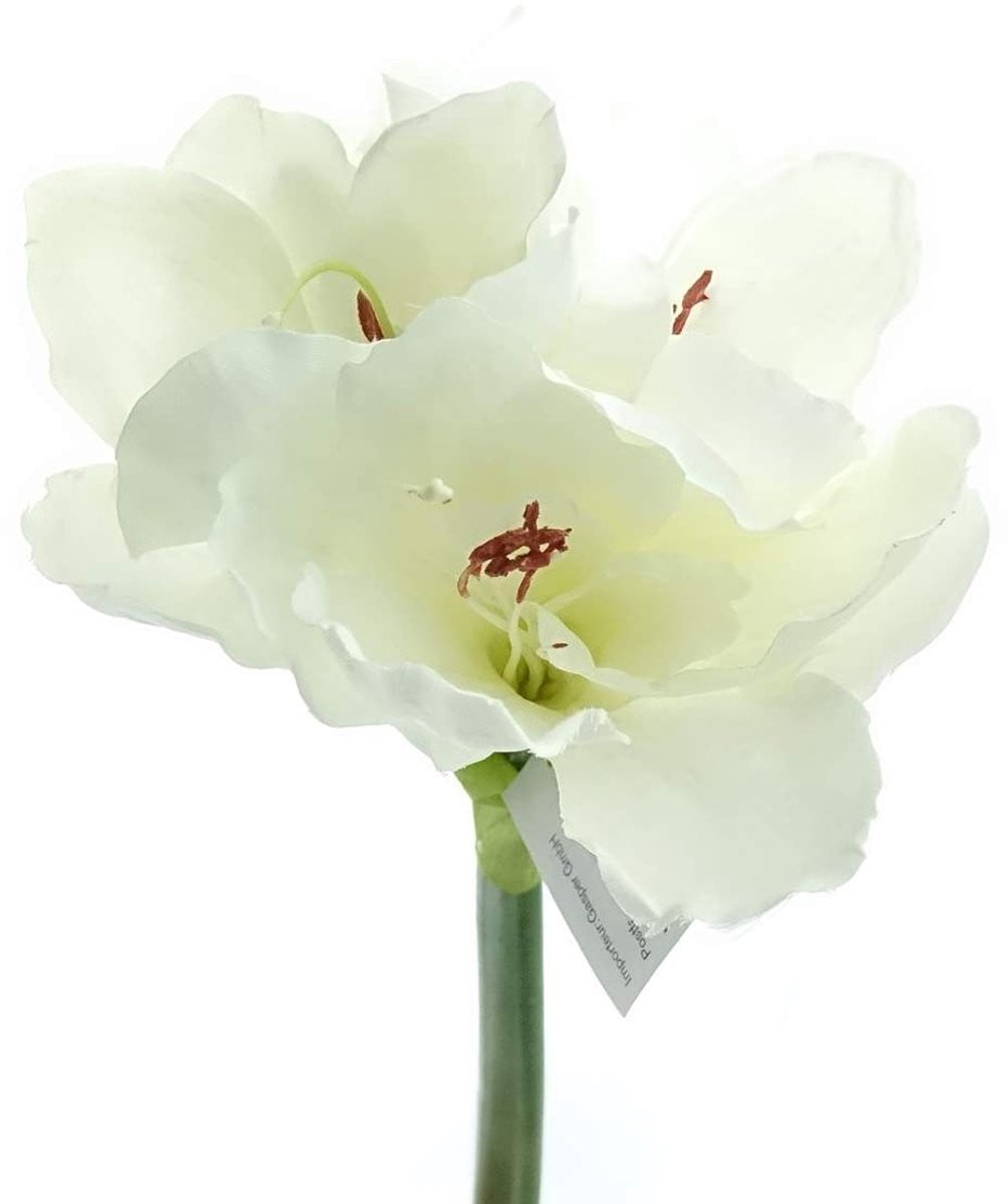 Gasper kunstbloem Amaryllis wit 66 cm