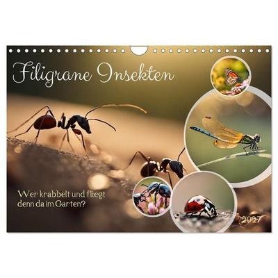 Filigrane Insekten (Wandkalender 2027 DIN A4 quer), CALVENDO Monatskalender