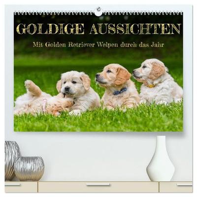 Goldige Aussichten - Mit Golden Retriever Welpen durch das Jahr (hochwertiger Premium Wandkalender 2027 DIN A2 quer), Kunstdruck in Hochglanz
