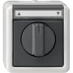 Gira Jalousietaster/Schalter grAP-WG 015430