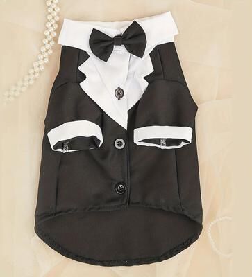 Inspire Select Pet Wedding Formal Suit For Small Dogs Elegant Bow Tie Shirt Costume For Parties, Weddings & Special Occasions black m