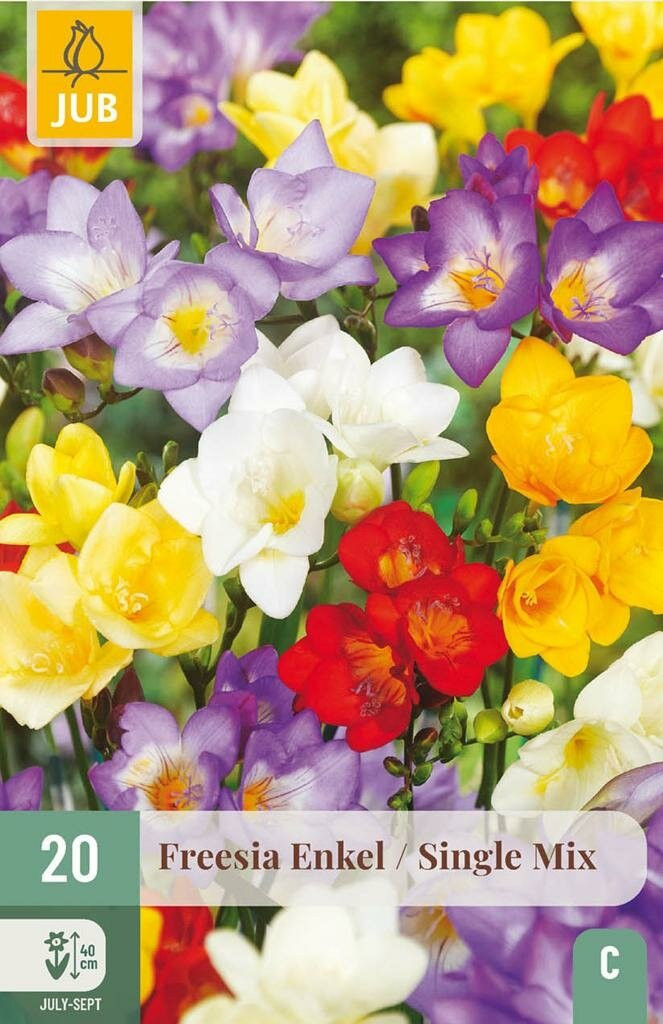 Jub Freesia enkel mix 20 bollen