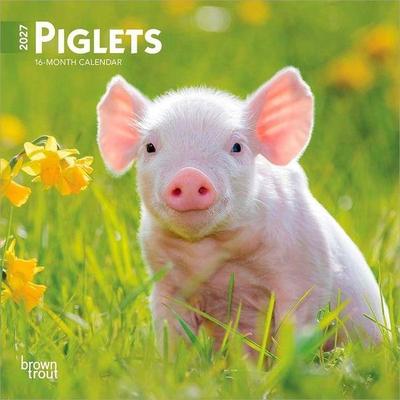 Piglets 2027 7 X 14 Inch (Hanging) Monthly Mini Wall Calendar