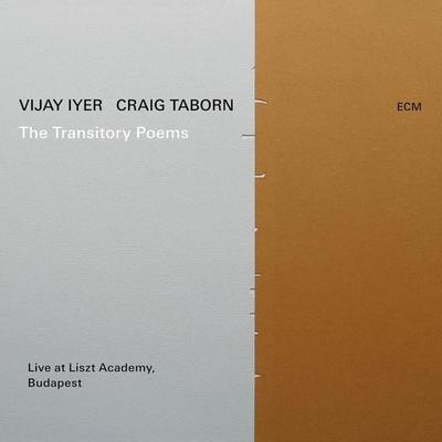 The Transitory Poems - Vijay Iyer,Craig Taborn, CD