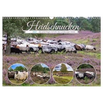 Heidschnucken, die prächtigen Schafe der Lüneburger Heide (Wandkalender 2027 DIN A3 quer), CALVENDO Monatskalender