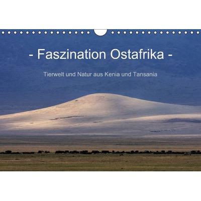 Faszination Ostafrika - Tierwelt und Natur aus Kenia und Tansania (Wandkalender immerwährend DIN A4 quer)