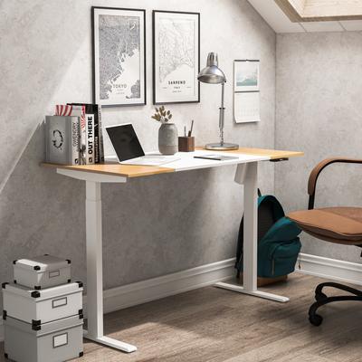 Furniture of America Getty Modern 47-inch Steel Adjustable Standing Desk