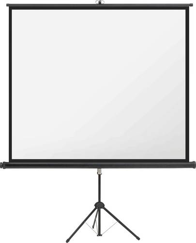 Magnetoplan 202501936 Stativleinwand 240 x 135cm Bildformat: 16:9