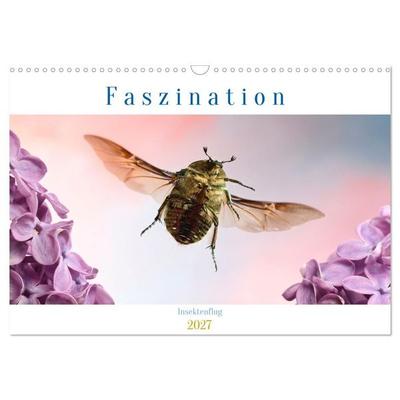Faszination Insektenflug (Wandkalender 2027 DIN A3 quer), CALVENDO Monatskalender