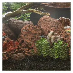 vidaXL Ines (Dekoration), Aquarium Dekoration