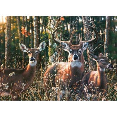 Woodlands Shadow 1000-Piece Puzzle