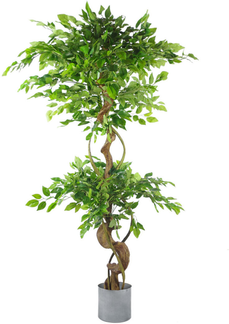 The Seasonal Aisle Faux Ficus Tree Plant Silver 150cm H x 40cm W x 40cm D