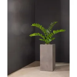 Kunstpflanze mit Topf Glücksfeder 100 cm mit Polystone Pflanzsäule Grau