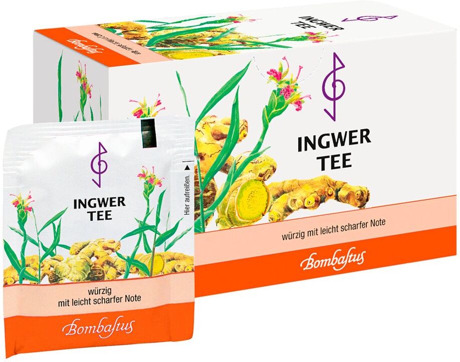 Bombastus Ingwer Tee Filterbeutel
