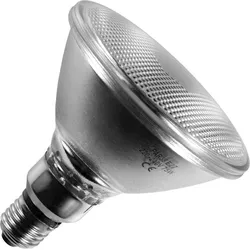 Glühbirne Spot | Große Fassung E27 | PAR38 | 75W | 122mm | Matt