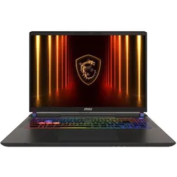 MSI Vector 17 HX AI A2XWJG-039 (17", 2000 GB, 32 GB, DE), Notebook, Grau