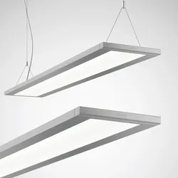 Trilux LED-Anbau/Pendel-Leuchte 4000K DALI Luceos D/H1 #7017551