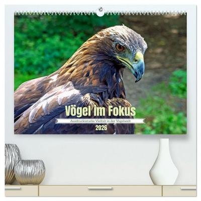 Vögel im Fokus - Ausdrucksstarke Vielfalt in der Vogelwelt (hochwertiger Premium Wandkalender 2026 DIN A2 quer), Kunstdruck in Hochglanz