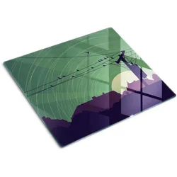 GLASPLATTE 60x52 cm Stadtvögel