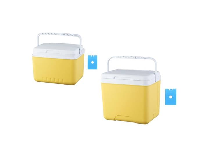 Refroidisseur de glace isolé, seau dur et léger, organisateur de réfrigérateur Portable pour épicerie, pêche, plage, Barbecue, voyage