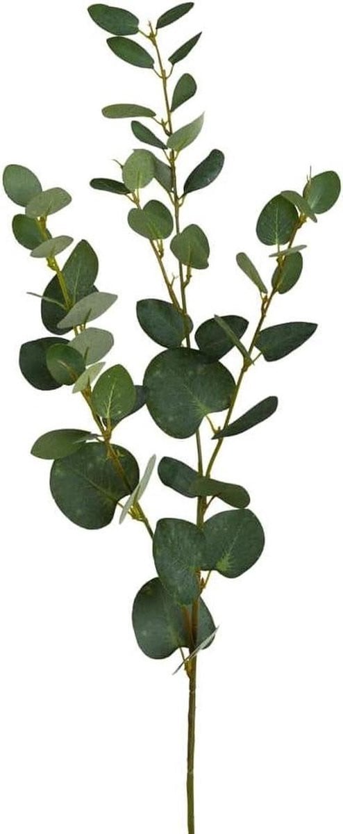 Eucalyptus Tak Kunstplant Groen - 79 cm