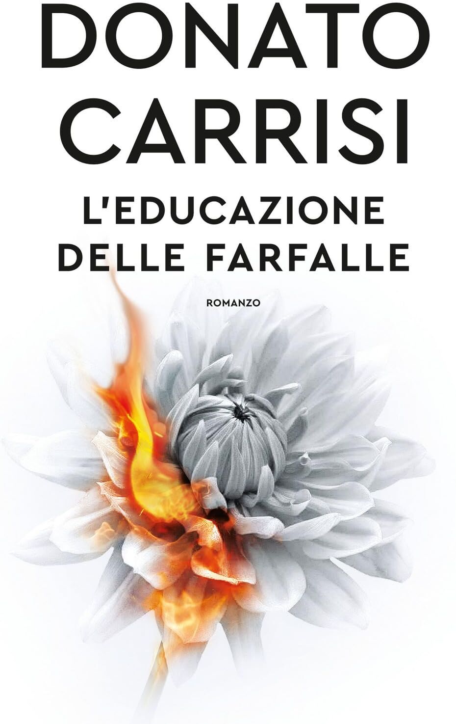 L'educazione delle farfalle - Preis vom 13.10.2026 11:25:28 h
