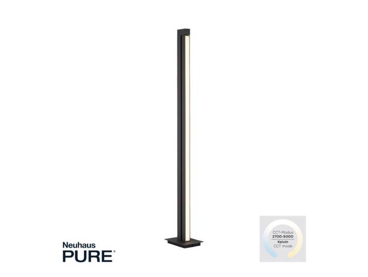 Paul Neuhaus Stehleuchte Pure-Lines, schmal, dimmbar, Fernbedien