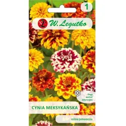 Mexikanische Zinnienmischung