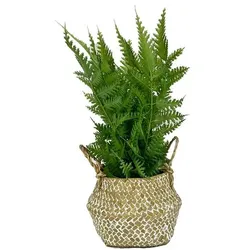 Kunstpflanze Seegras 20 cm Kunststoff Grün