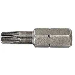 DEWALT Torsion Bit Torx 20 Stück - DT7267-QZ