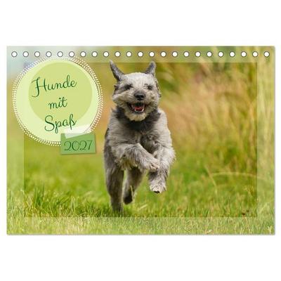 Hunde mit Spaß (Tischkalender 2027 DIN A5 quer), CALVENDO Monatskalender