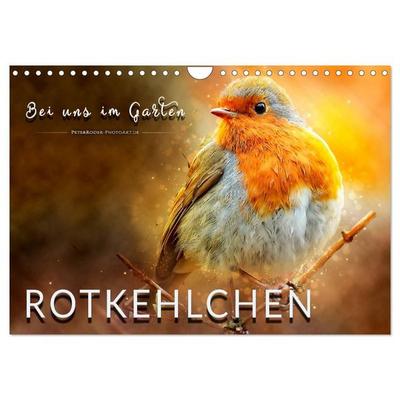 Bei uns im Garten - Rotkehlchen (Wandkalender 2027 DIN A4 quer), CALVENDO Monatskalender
