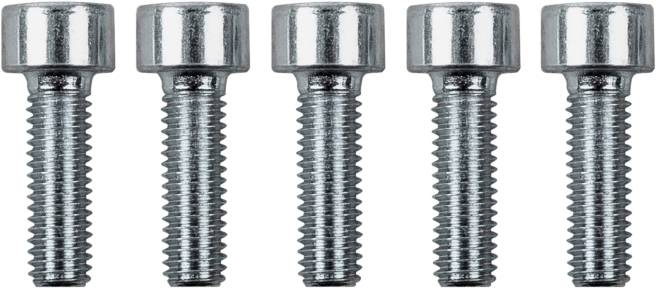 Wolf Schrauben M5x16 für HKP und WWT 8612390 für CGG