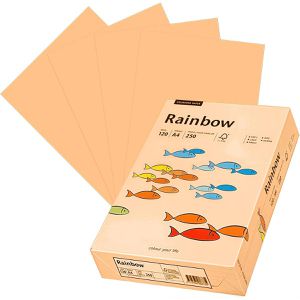 Papyrus Kopierpapier Rainbow 88042502, A4, 120g/qm, lachs, 250 Blatt