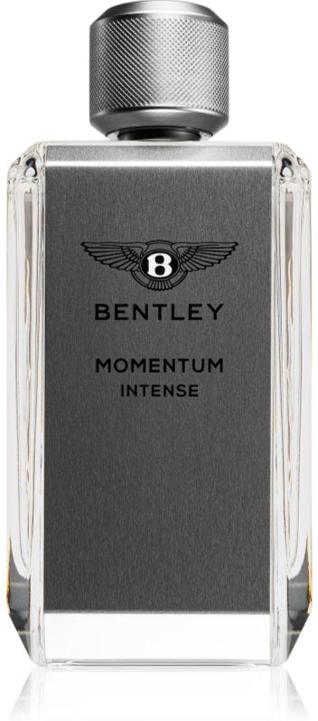 Bentley Momentum Intense Eau de Parfum für Herren 100 ml