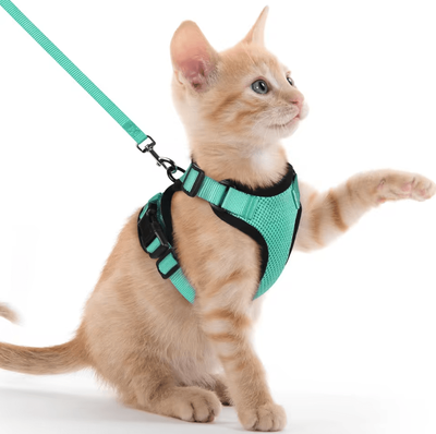 Inspire Curations Reflective Escape Proof Cat Harness & Leash Set For Safe Outdoor Adventures green s