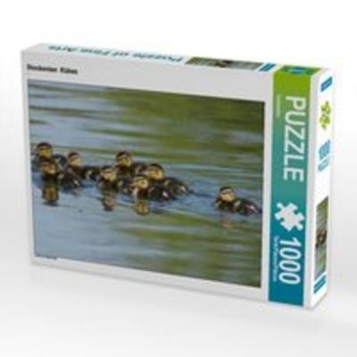 CALVENDO Puzzle Stockenten Küken 1000 Teile Lege-Größe 64 x 48 cm Foto-Puzzle Bild von Kattobello