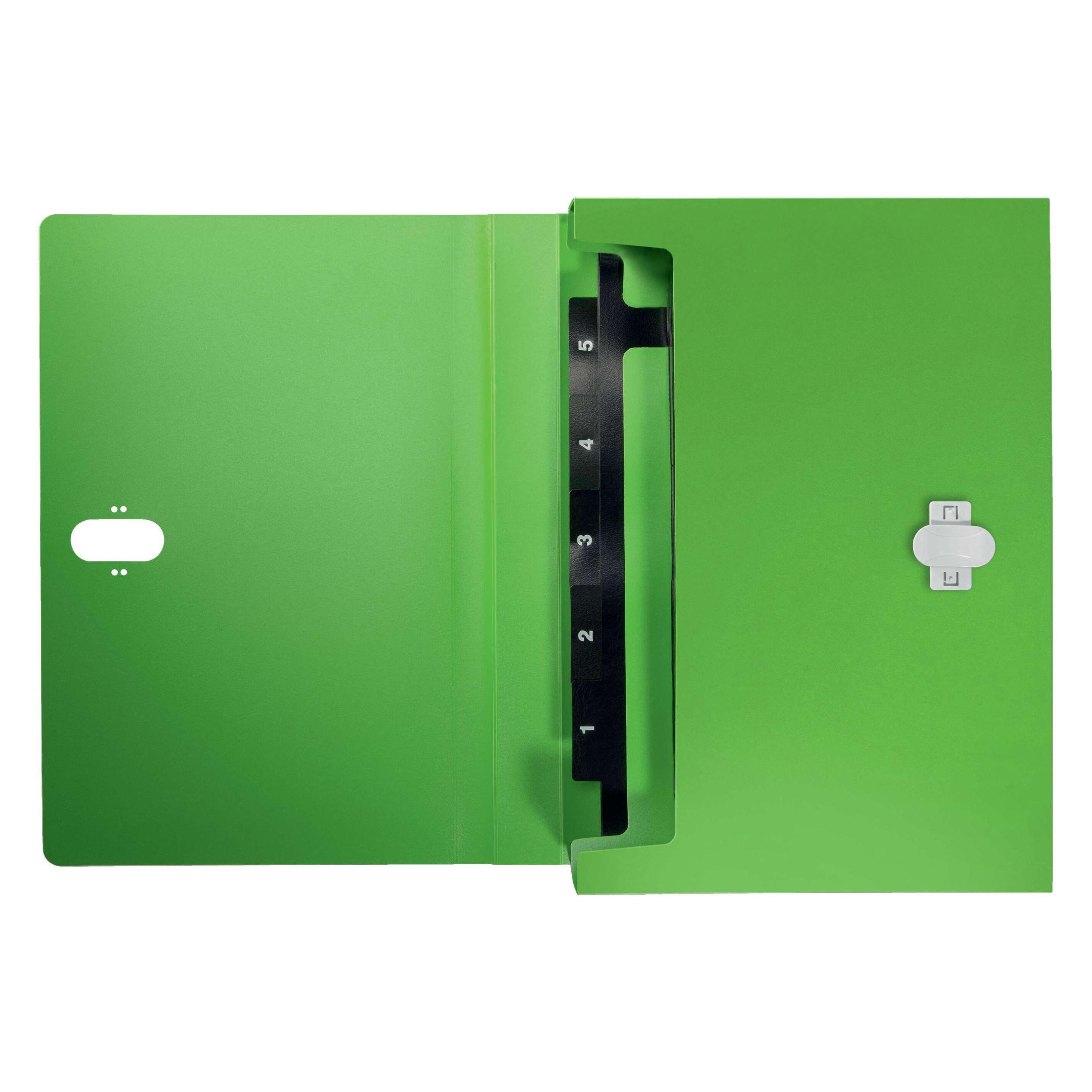 Leitz Projektmappe (A4) (4624-00-55)