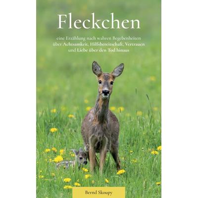 Fleckchen, Taschenbuch von Bernd Skoupy, Tredition, 978-3-384-13227-7