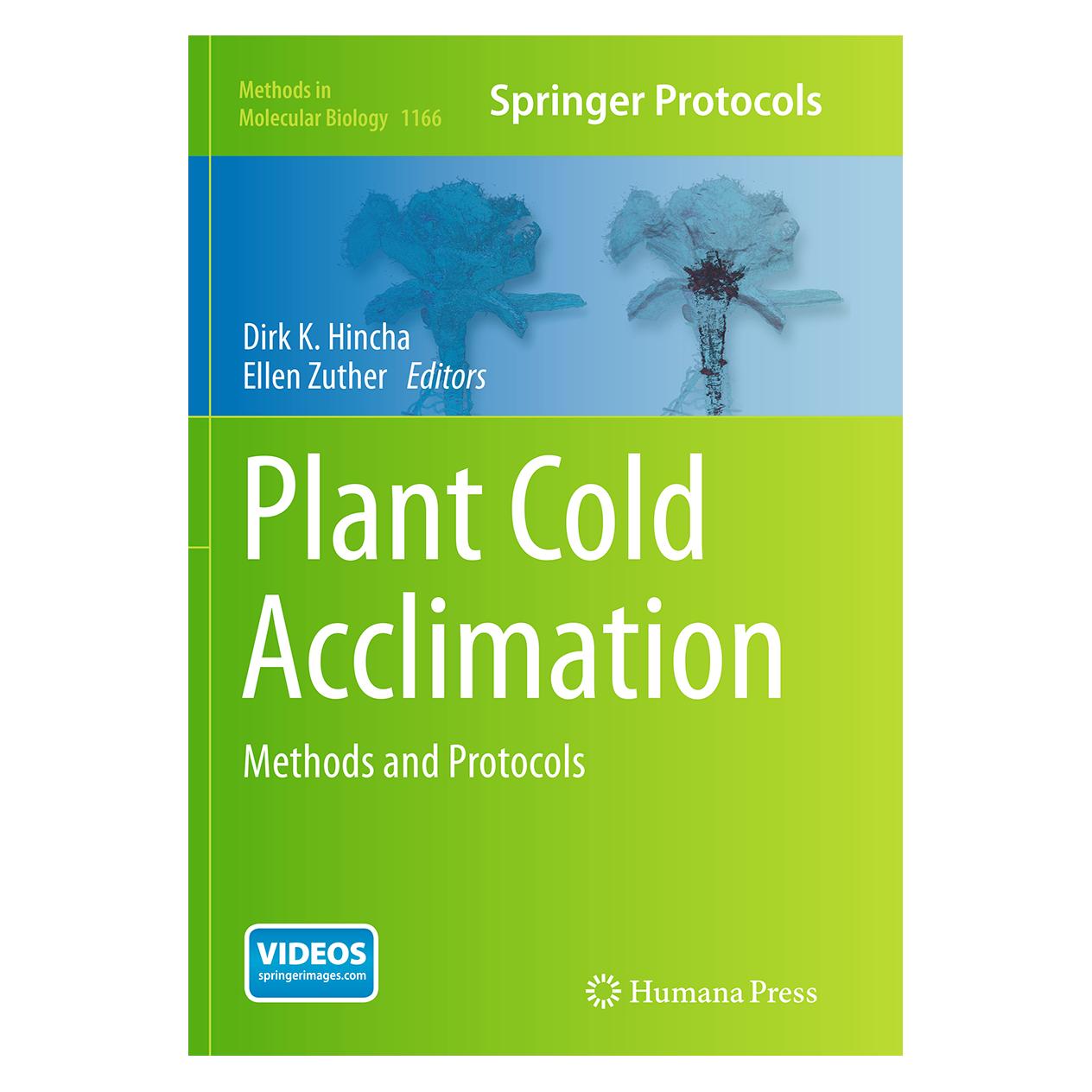 Springer Plant Cold Acclimation (Englisch, Softcover, Dirk K. Hincha, Ellen Zuther) (55847538)