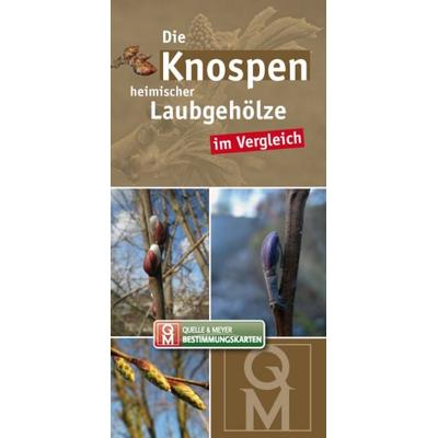 Die Knospen heimischer Laubgehölze im Vergleich, Sonstige von , Quelle & Meyer, 978-3-494-01605-4