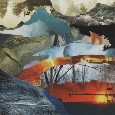 Whistle From Above - David Grubbs, Vinyl