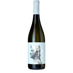 Favugnë Falanghina Bianco 2025 - Cantine Teanum