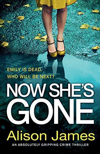 Alison James - Now She's Gone: An absolutely gripping crime thriller (Detective Rachel Prince, Band 2) - Preis vom 10.10.2026 11:48:34 h