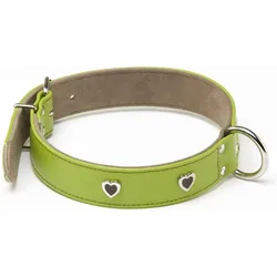 Alter Ego Italy Citadine (L, Hund, Allgemein, Spazieren), Halsband + Leine