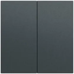 Gira Wippe Serien Schalter anthrazit lackiert 537073